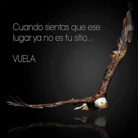 Vuela